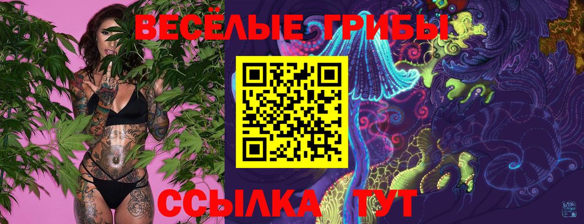 Псилоцибиновые грибы GOLDEN TEACHER Нижнеудинск