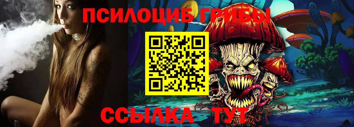 Псилоцибиновые грибы Cubensis  Вход с VPN  Нижнеудинск  хочу наркоту  Галлюциногенные грибы GOLDEN TEACHER 